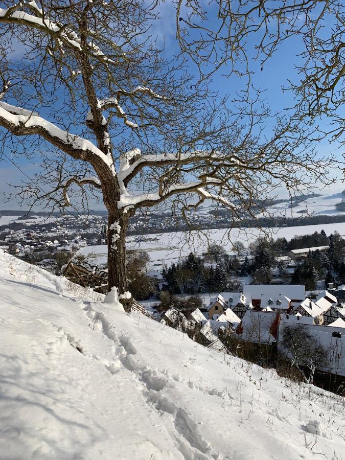 Wohlfuehl Appartments Felsberg Esterno foto